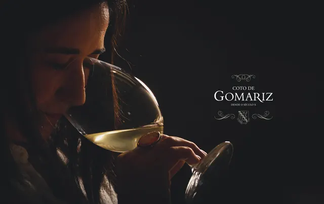 Web de Coto de Gomariz diseñada por Grupo Promedia